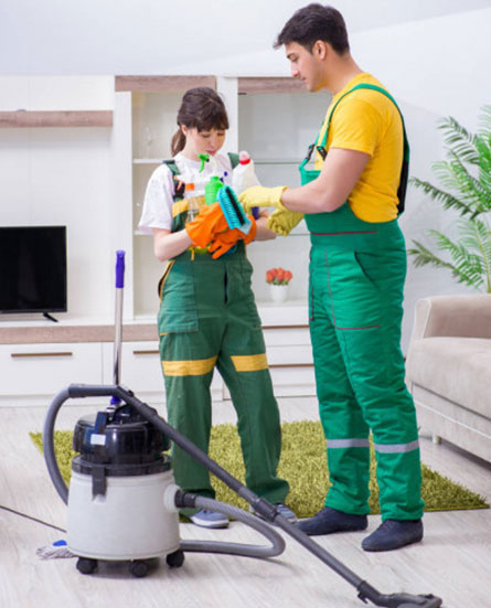 professional cleaners in sydney