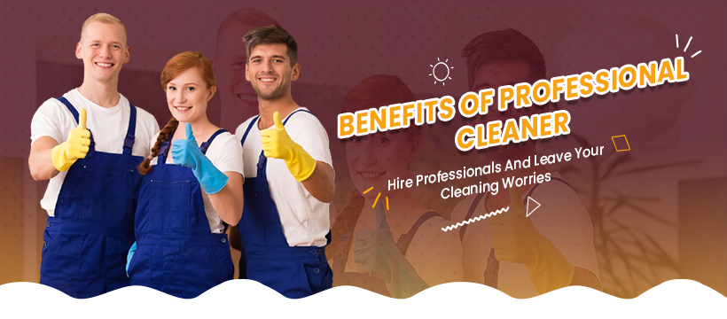 Professional Home Cleaners